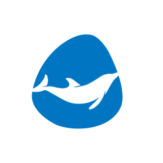 Dolphin Global