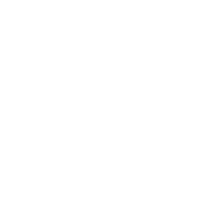 Dolphin Global